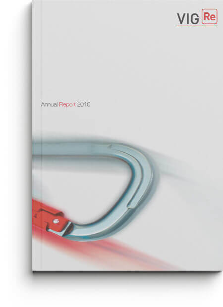 VIG Re Annual Report 2010