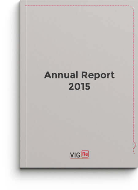 VIG Re Annual Report 2015