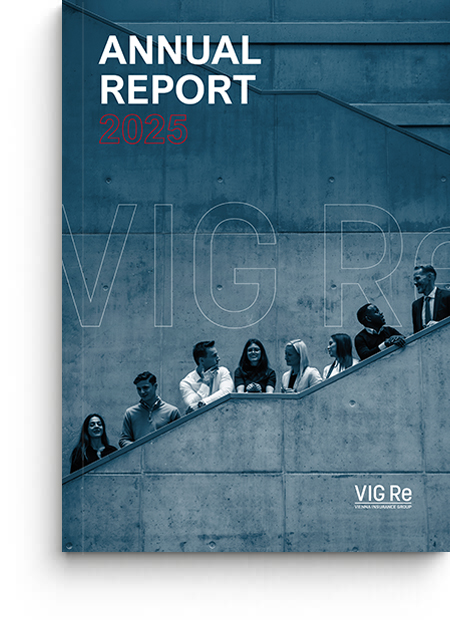 VIG Re Annual Report 2025